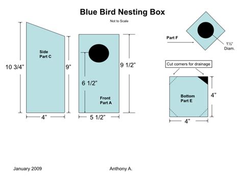 blue bird house with metal clad opening|bluebird house floor dimensions.